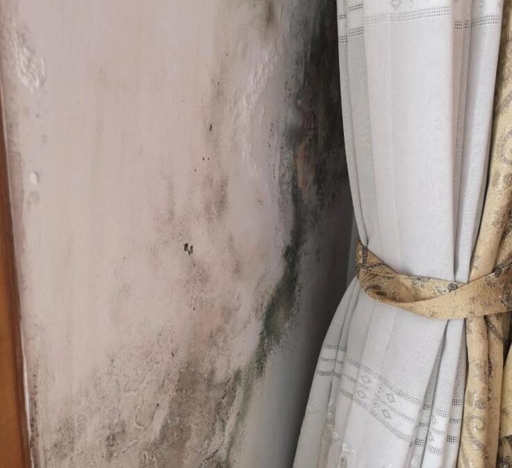 ����Ǽ��b�≦���أ���������Љ��ڰl(f��)ù����ô������